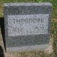 Theodore Larrison's Tombstone